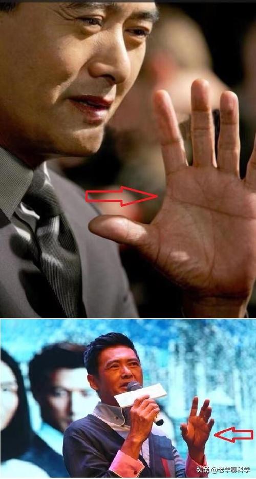 双手断掌的人命运如何？有哪些知名领导或名人双手断掌？