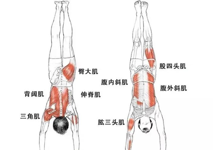 为什么说即使手举重物或头手倒立，每个人的生命同样宝贵呢？