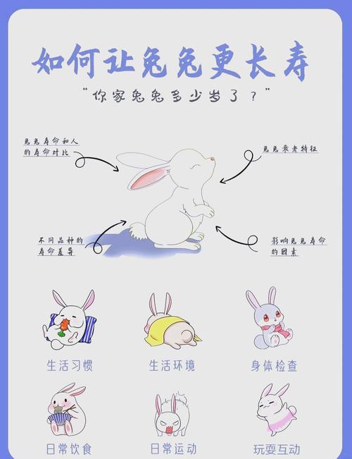 2023年出生的兔子和1999年出生的兔分别是什么命？