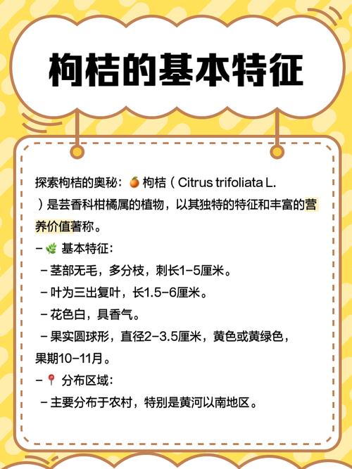 在风水院子里种植枸橘合适吗？