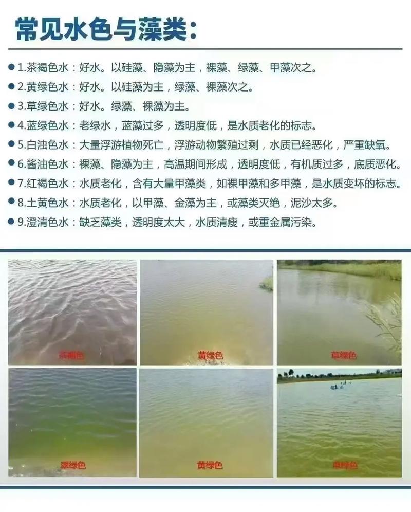 水质对风水的要求是不是特别高？