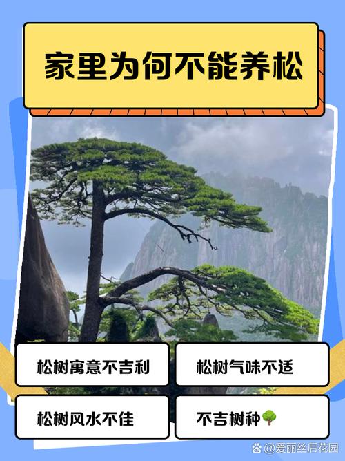 松树命代表什么意思？松树命是几等命？这命运有何特殊之处？