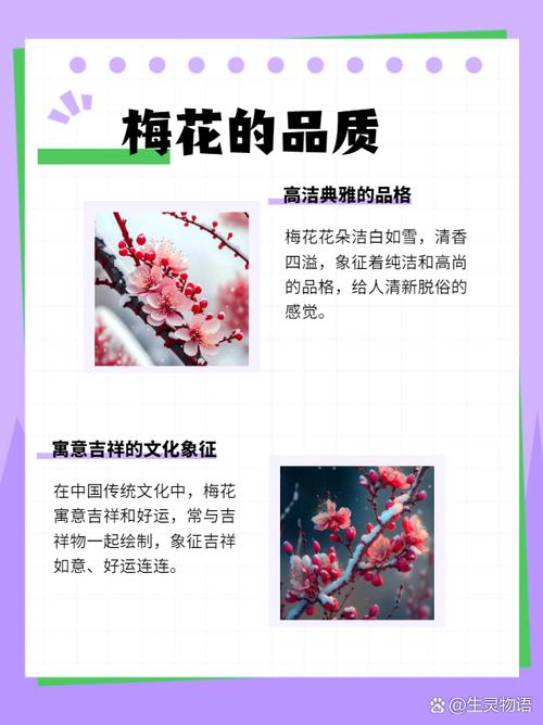 什么是梅香之命的独特命格？