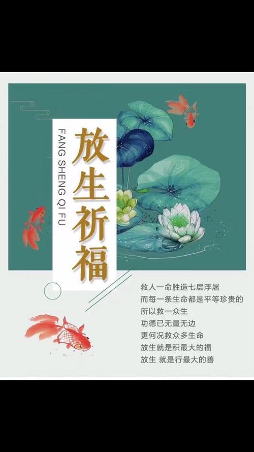 放生真的能对家居风水产生积极改善效果吗？