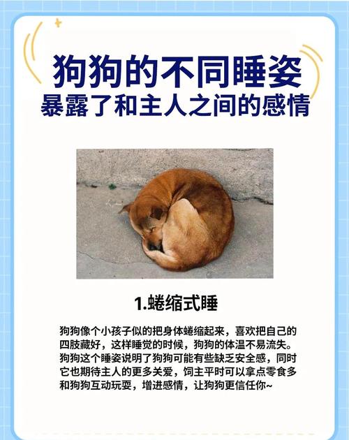 狗长期睡在门口对家庭风水有何不利影响？