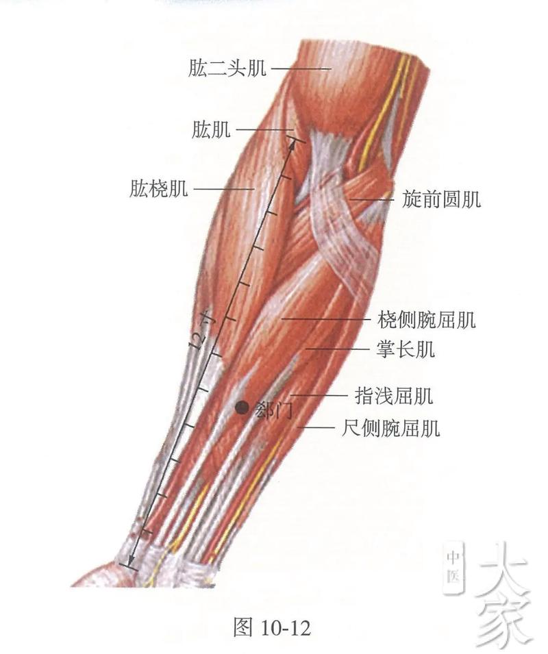 手腕横线与掌横纹腕横纹位置关系如何影响命运？
