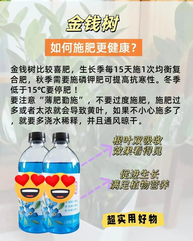 种树真的能起到保护风水的作用吗？