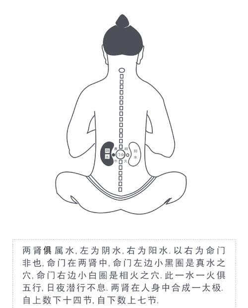 命主命书中的危机和命门分别指什么？