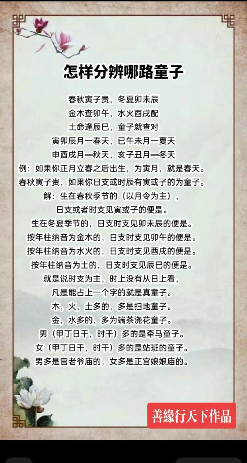 童子命是如何进行测算的？