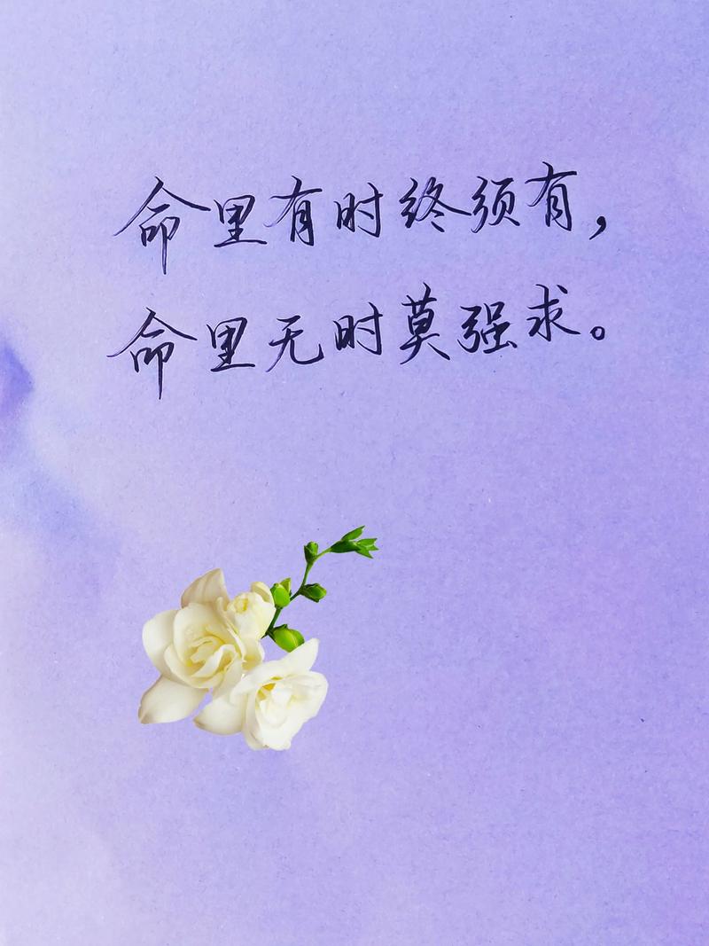 若命里注定无此命，命中注定有，无时莫强求，这句话该如何改写为一个长尾？