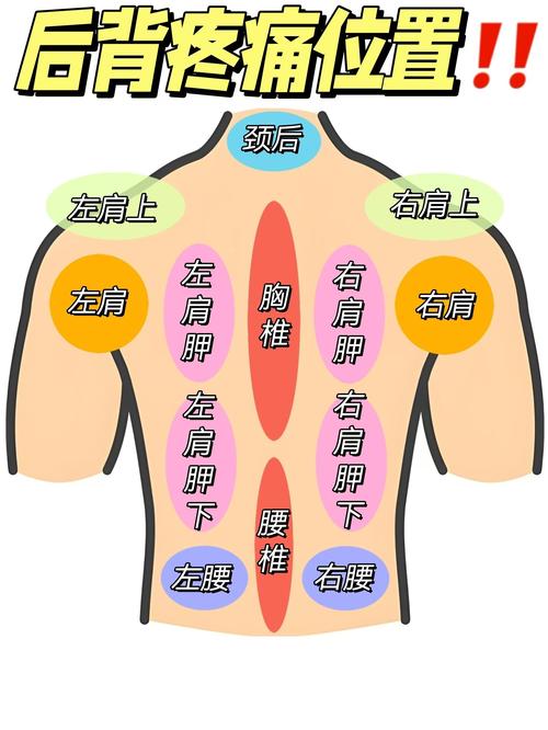 身上多处疼痛可能与风水布局有什么关联？