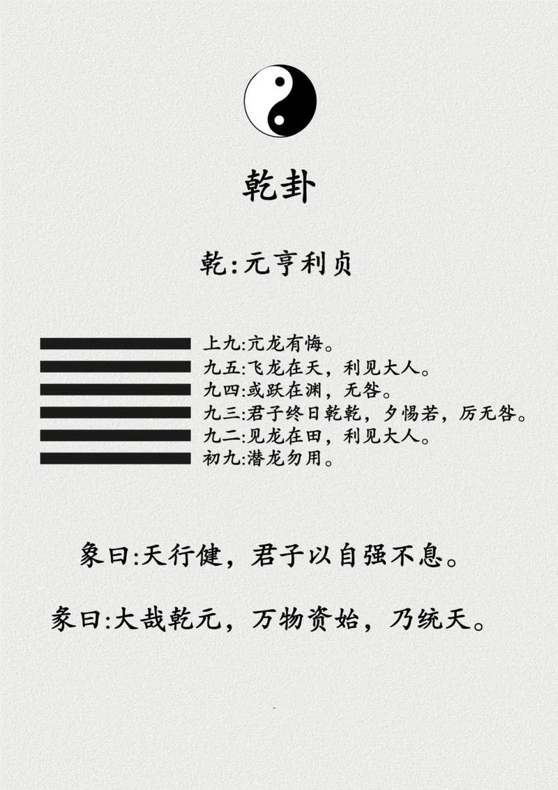 乾化命与坤化命分别指什么？乾命如何改写为一个长尾关键词？