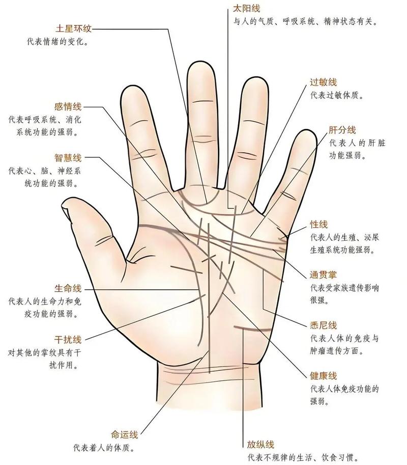 手相能看出风水吗？女人如何通过手相了解个人风水运势？