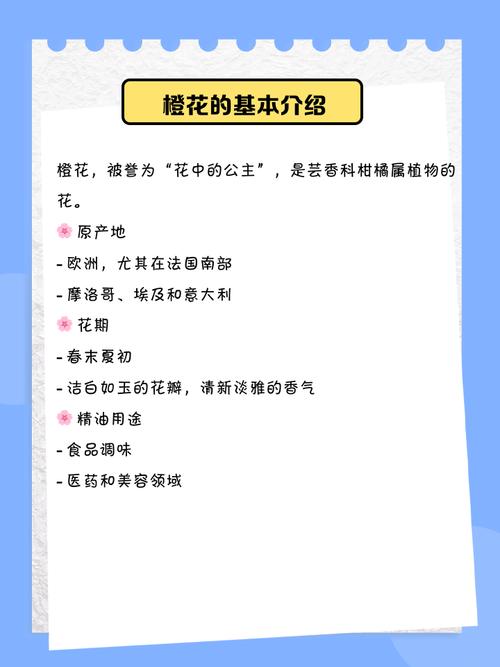 橙树开花白影响家庭风水吉凶？