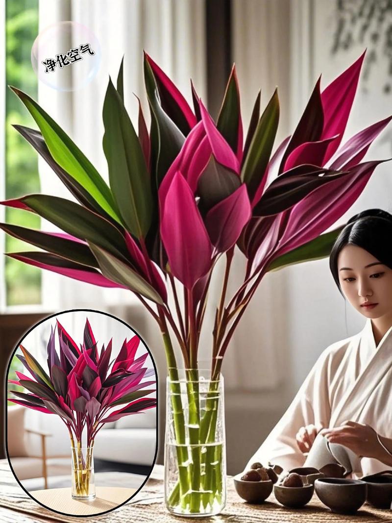 家里种植紫竹是否会影响家居风水布局？