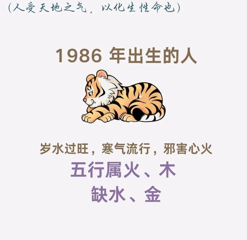 属虎的人是水命还是火命，其命里到底缺什么？