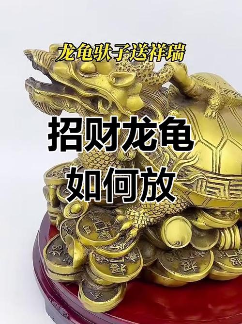 在堂屋摆放风水龟是否适宜，对风水有何影响？