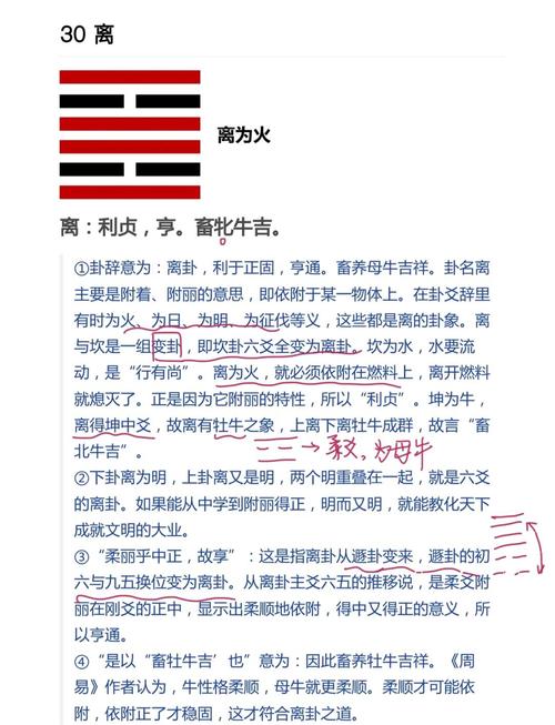 女命算命说离命是什么意思，能否详细解释一下离命的含义？