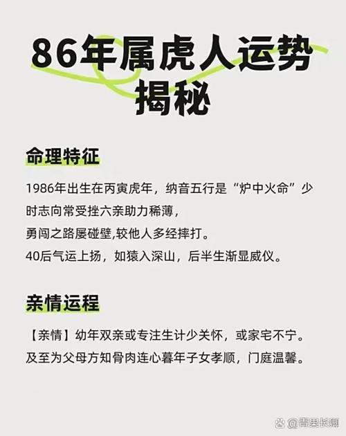生肖属虎的男人命运如何，他们的命是不是很好呢？
