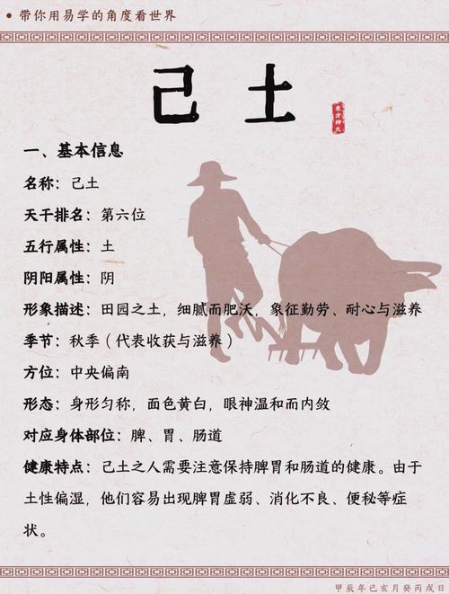 土命男性适合从事哪些行业？做什么生意能更容易成功？