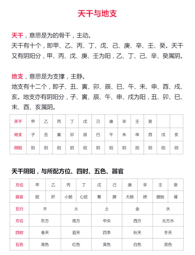 命理天干五行属什么命，五行命看是依据天干还是地支？