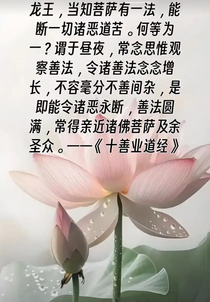 信佛的人是否可以同时相信风水，这两种信仰是否可以并存呢？