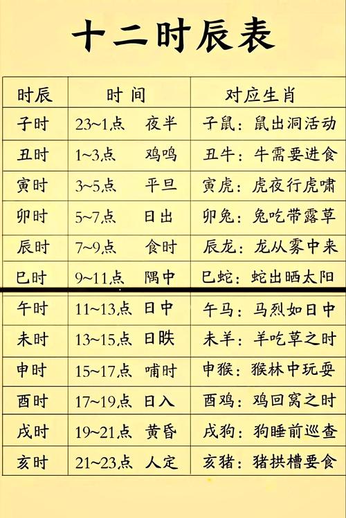 已卯仙命五行是什么？卯己时是几点到几点？
