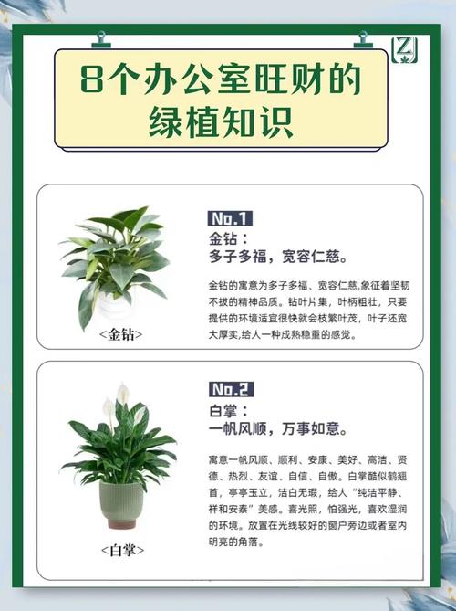 水命和金命适合种植哪些绿植？水命与金命是否相合？