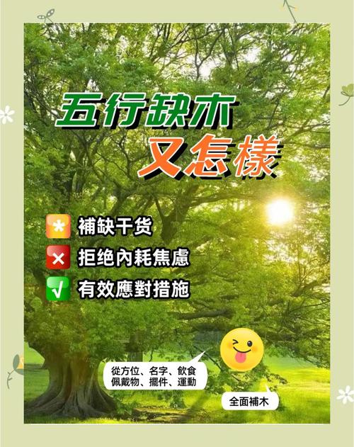 五行缺木的命缺什么属性，如何通过调整来补强五行木？