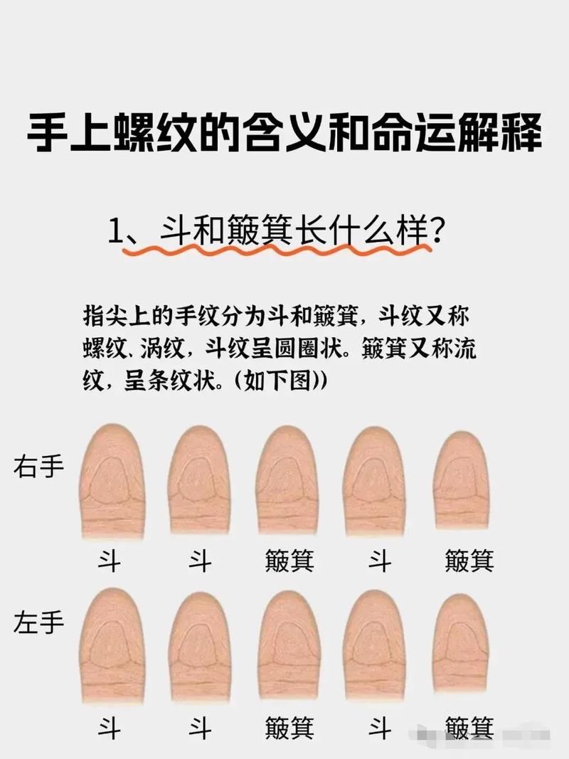 手指螺纹和簸箕分布能预示什么命格？