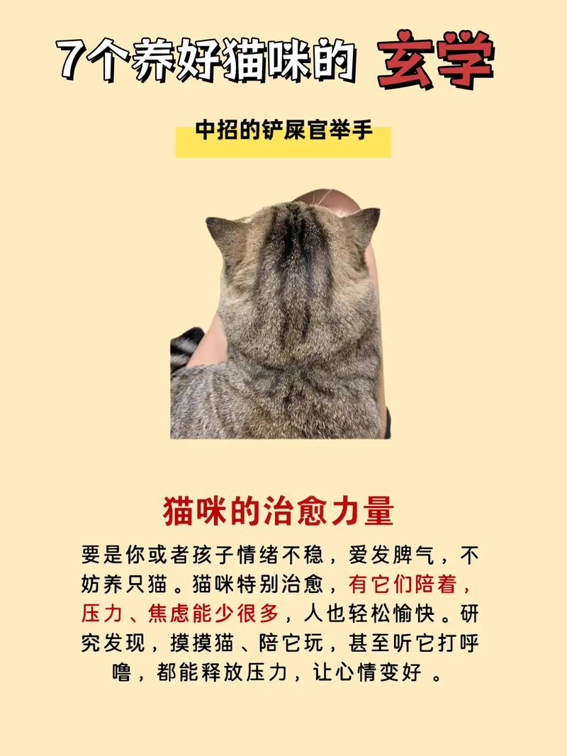 猫咪真的可以改变家居风水吗？这其中的奥秘究竟是什么？