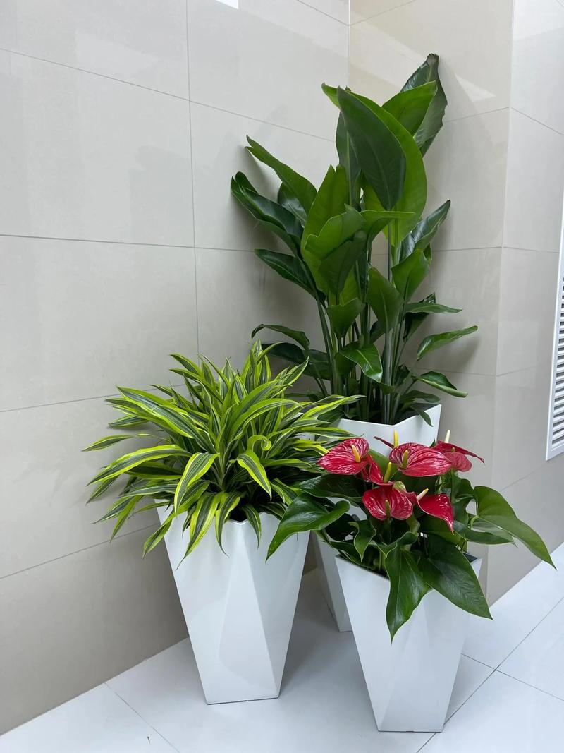 办公室摆放假花会对风水产生怎样的影响呢？