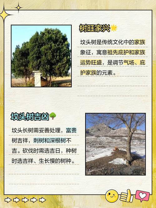 在坟头种植树木会对风水产生怎样的影响呢？