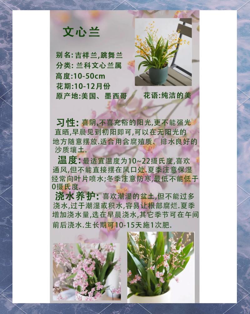 兰花命适合哪些工作？水命又最忌讳哪些行业？