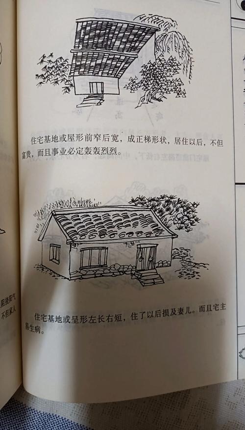 房子被大树遮挡光线，这样的风水布局会影响居住吗？