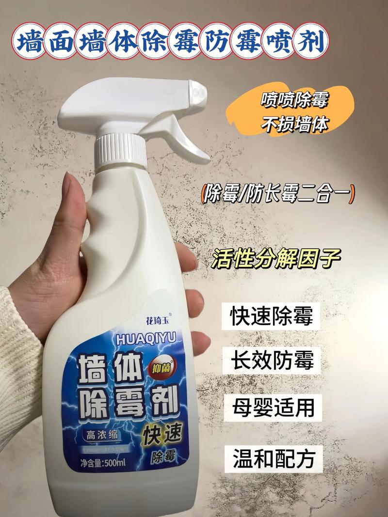 家里墙壁发霉会对风水产生怎样的影响呢？