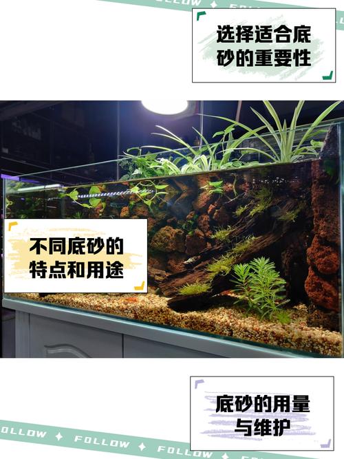 鱼缸铺底砂对家居风水有影响吗？这是否会影响家庭运势和居住环境？