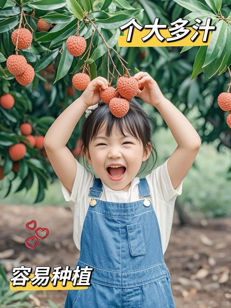 家里荔枝种植多，这样的风水布局是否吉利？