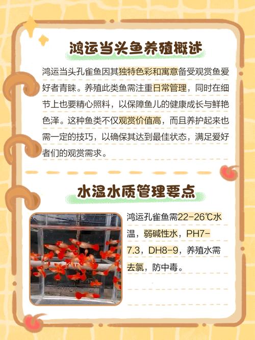 小区里养鱼风水怎么样，适合养鱼吗？