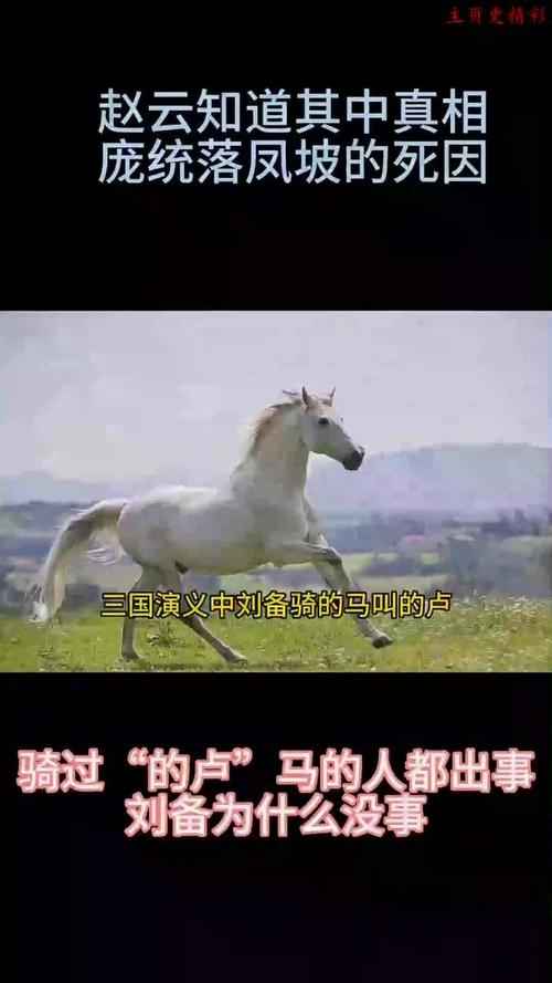刘备的坐骑马是什么马救了他的命？