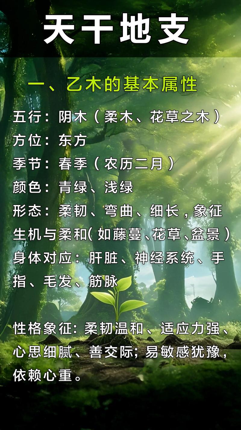 乙木命是平地木命吗？乙庚合的乙木女命会怎样？