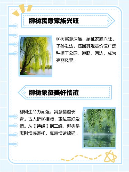 家里种柳树对风水有好处吗？