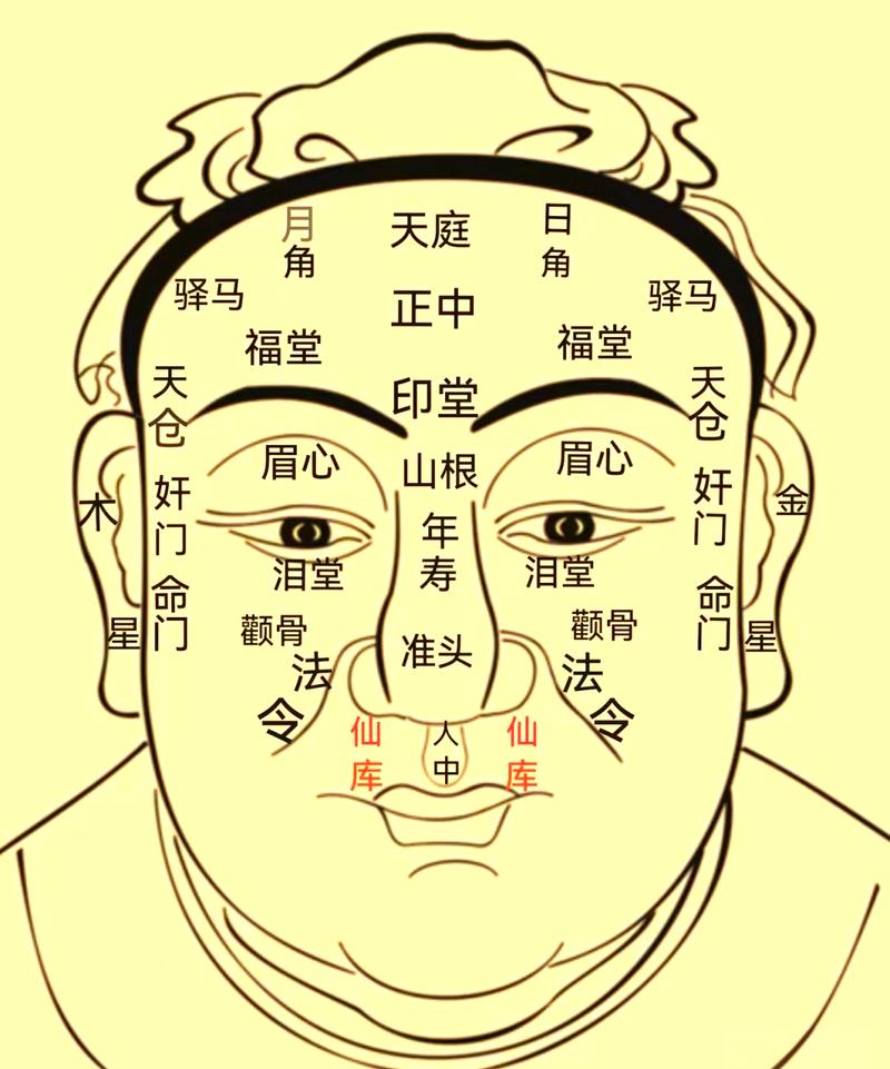 风水面相真的可信吗？有没有科学依据来解释其准确性？
