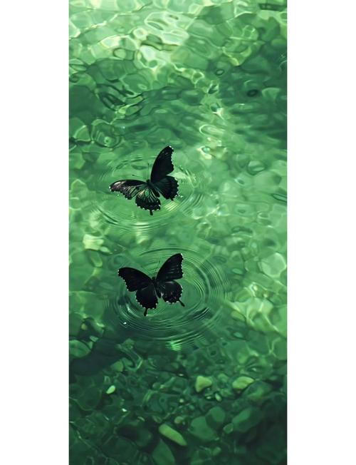 卧室壁纸选择绿色，对风水有影响吗？