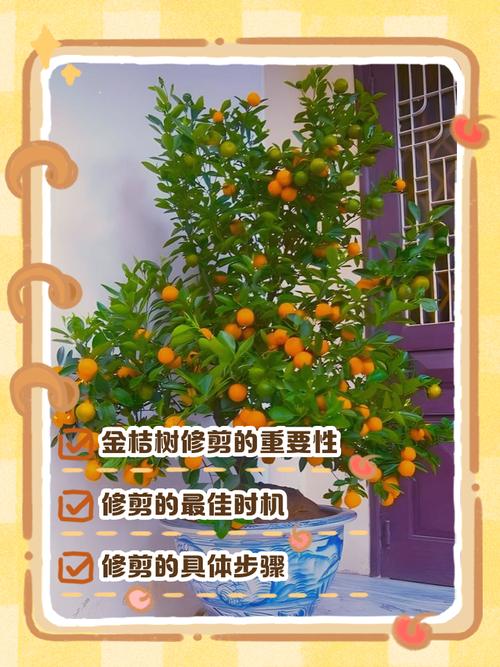 修剪树枝的人是否懂得看风水，能提升树木生长和家居运势？