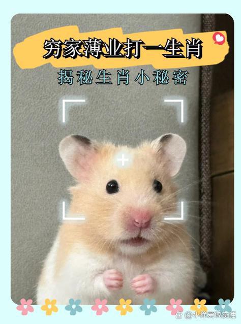 将命染黄沙是哪个生肖？黄河打一生肖怎么改写？