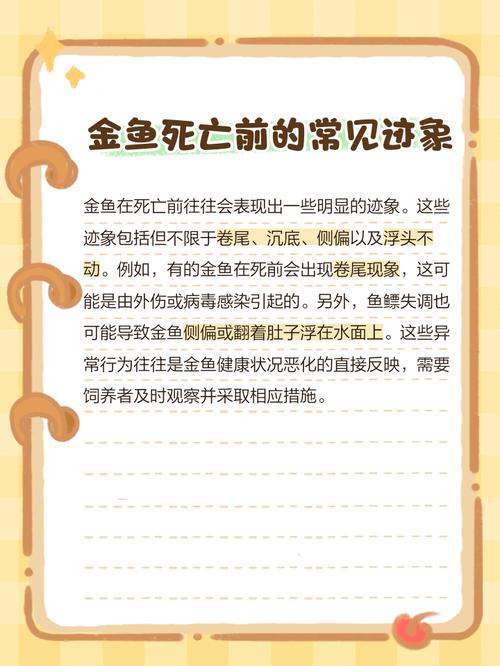 风水鱼对小孩的身心发育有负面影响吗？