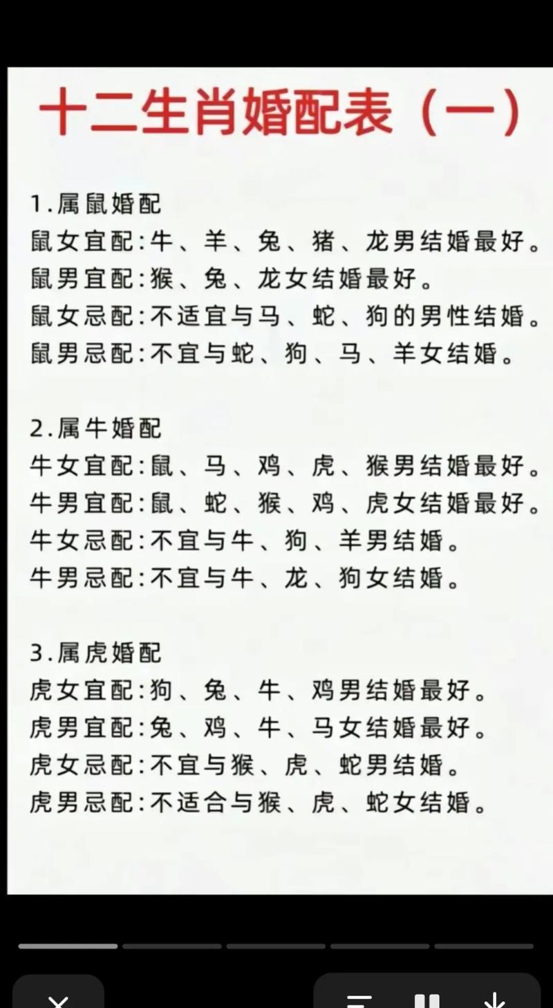 属鼠的鼠年命理属性是什么鼠年和哪个生肖最相配，又与哪个生肖相克呢？