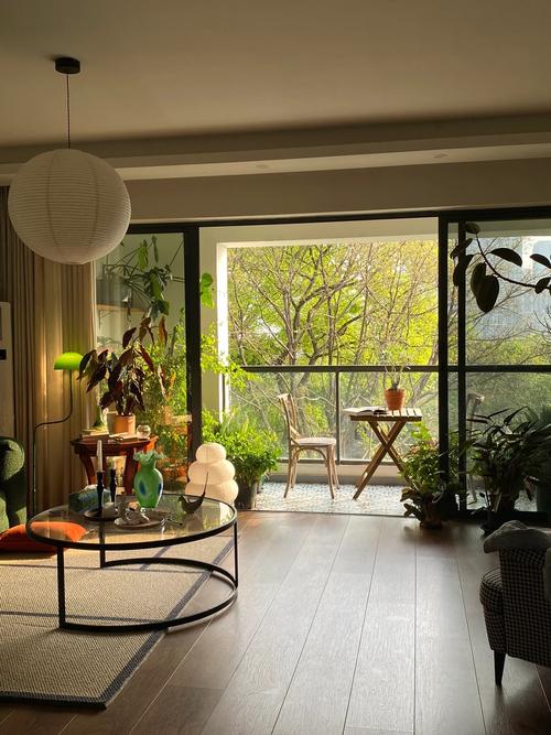 窗外的树对家居风水有何具体影响？