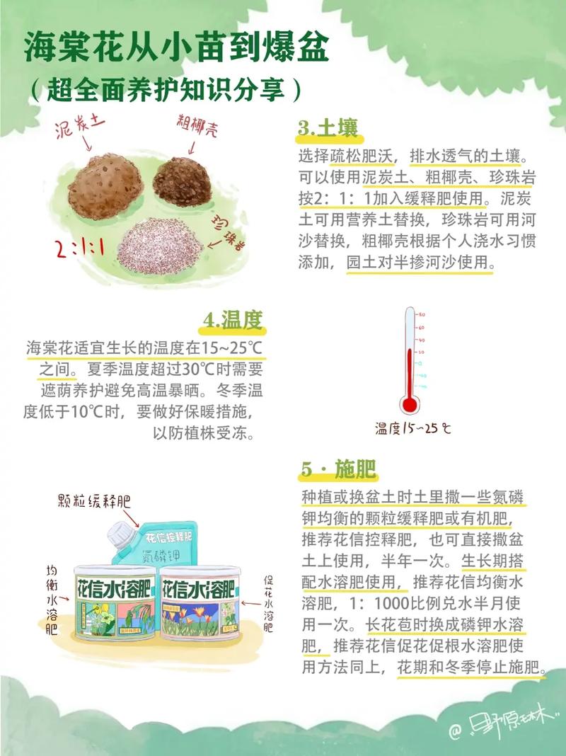 海棠树适合室内养护吗？对家居风水有好处吗？